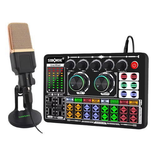 Ensemble microphone et carte son F999 + M998